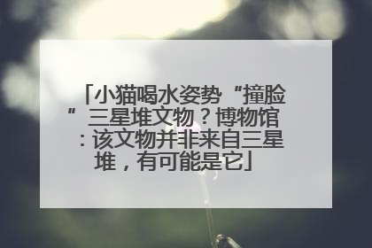 小猫喝水姿势“撞脸”三星堆文物？博物馆：该文物并非来自三星堆，有可能是它