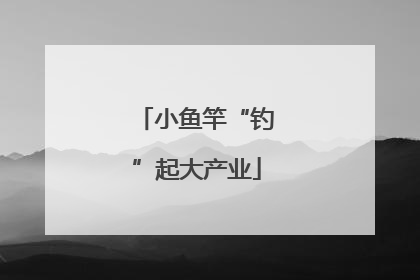 小鱼竿“钓”起大产业