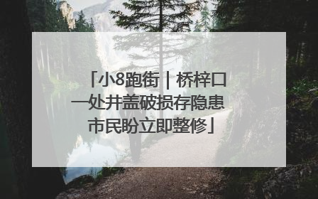 小8跑街｜桥梓口一处井盖破损存隐患 市民盼立即整修