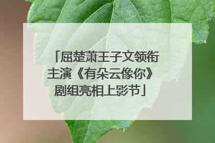 屈楚萧王子文领衔主演《有朵云像你》剧组亮相上影节