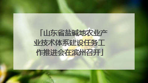 山东省盐碱地农业产业技术体系建设任务工作推进会在滨州召开