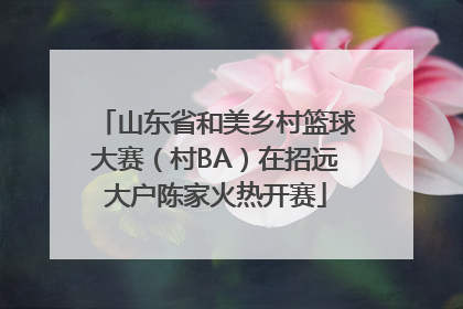 山东省和美乡村篮球大赛（村BA）在招远大户陈家火热开赛