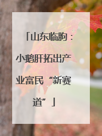 山东临朐：小鹅肝拓出产业富民“新赛道”