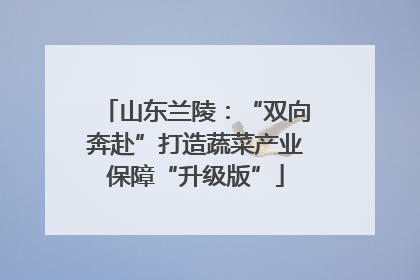 山东兰陵：“双向奔赴”打造蔬菜产业保障“升级版”
