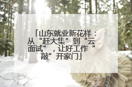 山东就业新花样：从“赶大集”到“云面试”，让好工作“敲”开家门