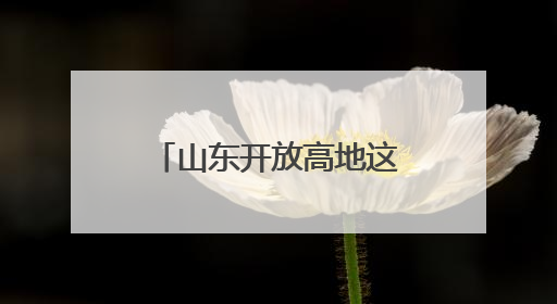 山东开放高地这样炼成：港口“CP”出道，中欧班列跑出加速度