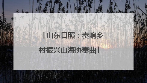 山东日照：奏响乡村振兴山海协奏曲