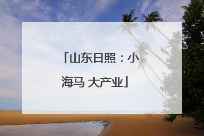 山东日照：小海马 大产业