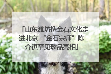 山东潍坊携金石文化走进北京 “金石宗师”陈介祺罕见珍品亮相