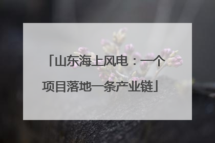 山东海上风电：一个项目落地一条产业链