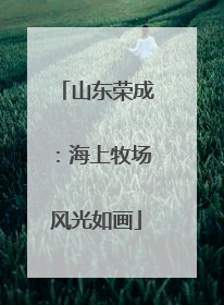 山东荣成：海上牧场风光如画