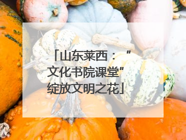 山东莱西：“文化书院课堂”绽放文明之花