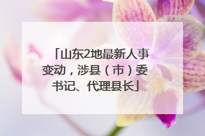 山东2地最新人事变动，涉县（市）委书记、代理县长