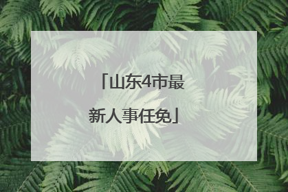 山东4市最新人事任免