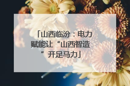 山西临汾：电力赋能让“山西智造”开足马力