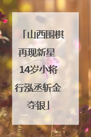 山西围棋再现新星 14岁小将行泓丞斩金夺银