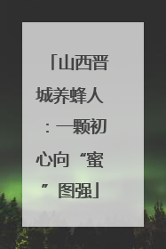 山西晋城养蜂人：一颗初心向“蜜”图强