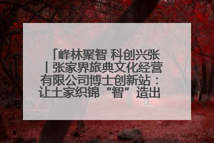 峰林聚智 科创兴张丨张家界旅典文化经营有限公司博士创新站：让土家织锦“智”造出非遗新传奇
