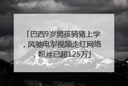 巴西9岁男孩骑猪上学，风驰电掣视频走红网络，粉丝已超125万