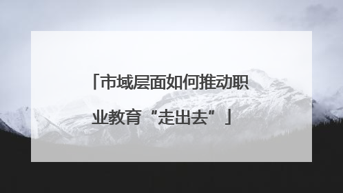 市域层面如何推动职业教育“走出去”