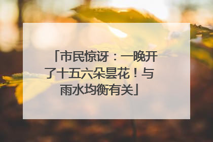 市民惊讶：一晚开了十五六朵昙花！与雨水均衡有关
