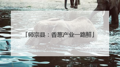 师宗县：香葱产业一路鲜