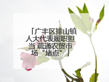 广丰区排山镇人大代表履职担当 疏通农贸市场“堵点”