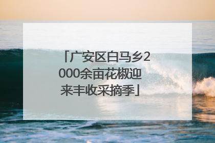 广安区白马乡2000余亩花椒迎来丰收采摘季