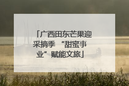 广西田东芒果迎采摘季 “甜蜜事业”赋能文旅