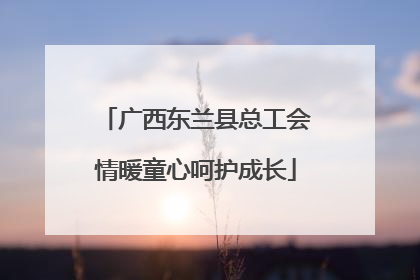 广西东兰县总工会情暖童心呵护成长