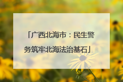 广西北海市：民生警务筑牢北海法治基石