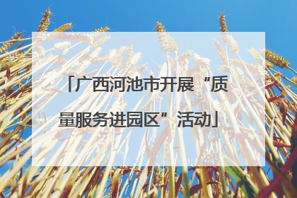 广西河池市开展“质量服务进园区”活动