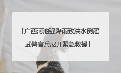 广西河池强降雨致洪水倒灌 武警官兵展开紧急救援