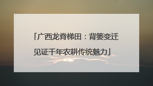 广西龙脊梯田：背篓变迁见证千年农耕传统魅力