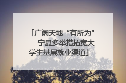 广阔天地“有所为”——宁夏多举措拓宽大学生基层就业渠道
