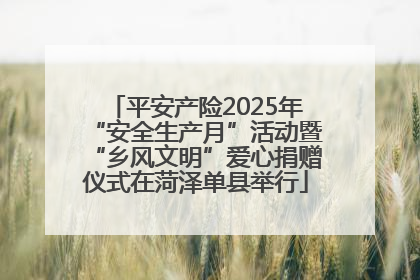 平安产险2025年“安全生产月”活动暨“乡风文明”爱心捐赠仪式在菏泽单县举行