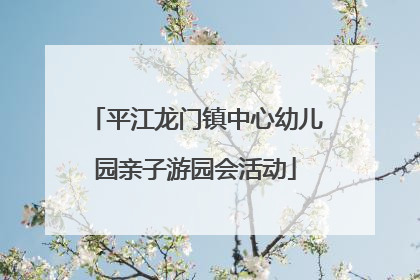 平江龙门镇中心幼儿园亲子游园会活动