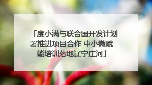 度小满与联合国开发计划署推进项目合作 中小微赋能培训落地辽宁庄河