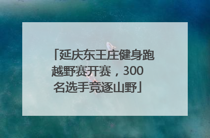 延庆东王庄健身跑越野赛开赛，300名选手竞逐山野
