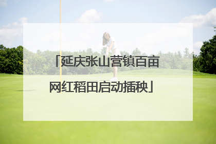 延庆张山营镇百亩网红稻田启动插秧