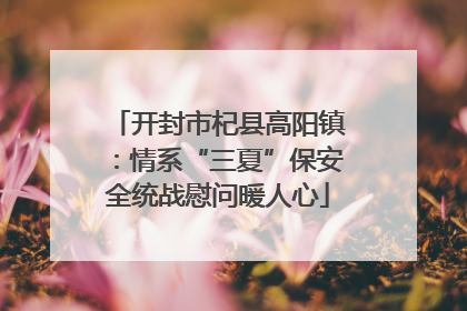 开封市杞县高阳镇：情系“三夏”保安全统战慰问暖人心