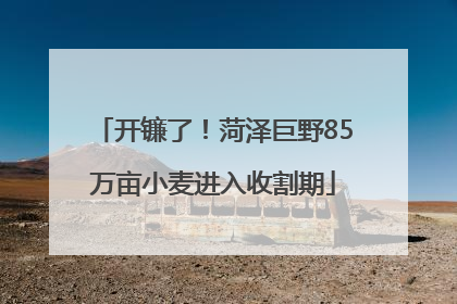 开镰了！菏泽巨野85万亩小麦进入收割期