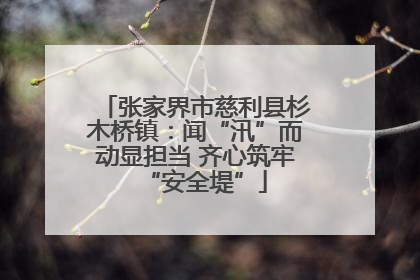 张家界市慈利县杉木桥镇：闻“汛”而动显担当 齐心筑牢“安全堤”