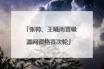 张帅、王曦雨晋级温网资格赛次轮