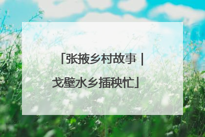张掖乡村故事｜戈壁水乡插秧忙