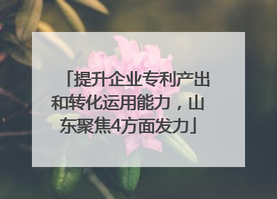 提升企业专利产出和转化运用能力，山东聚焦4方面发力
