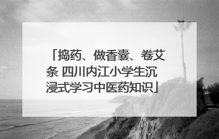 捣药、做香囊、卷艾条 四川内江小学生沉浸式学习中医药知识
