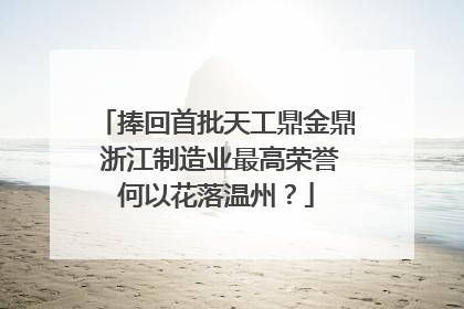 捧回首批天工鼎金鼎 浙江制造业最高荣誉何以花落温州？