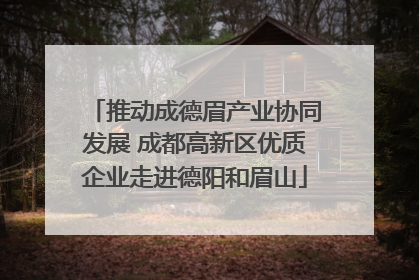 推动成德眉产业协同发展 成都高新区优质企业走进德阳和眉山