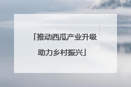推动西瓜产业升级 助力乡村振兴